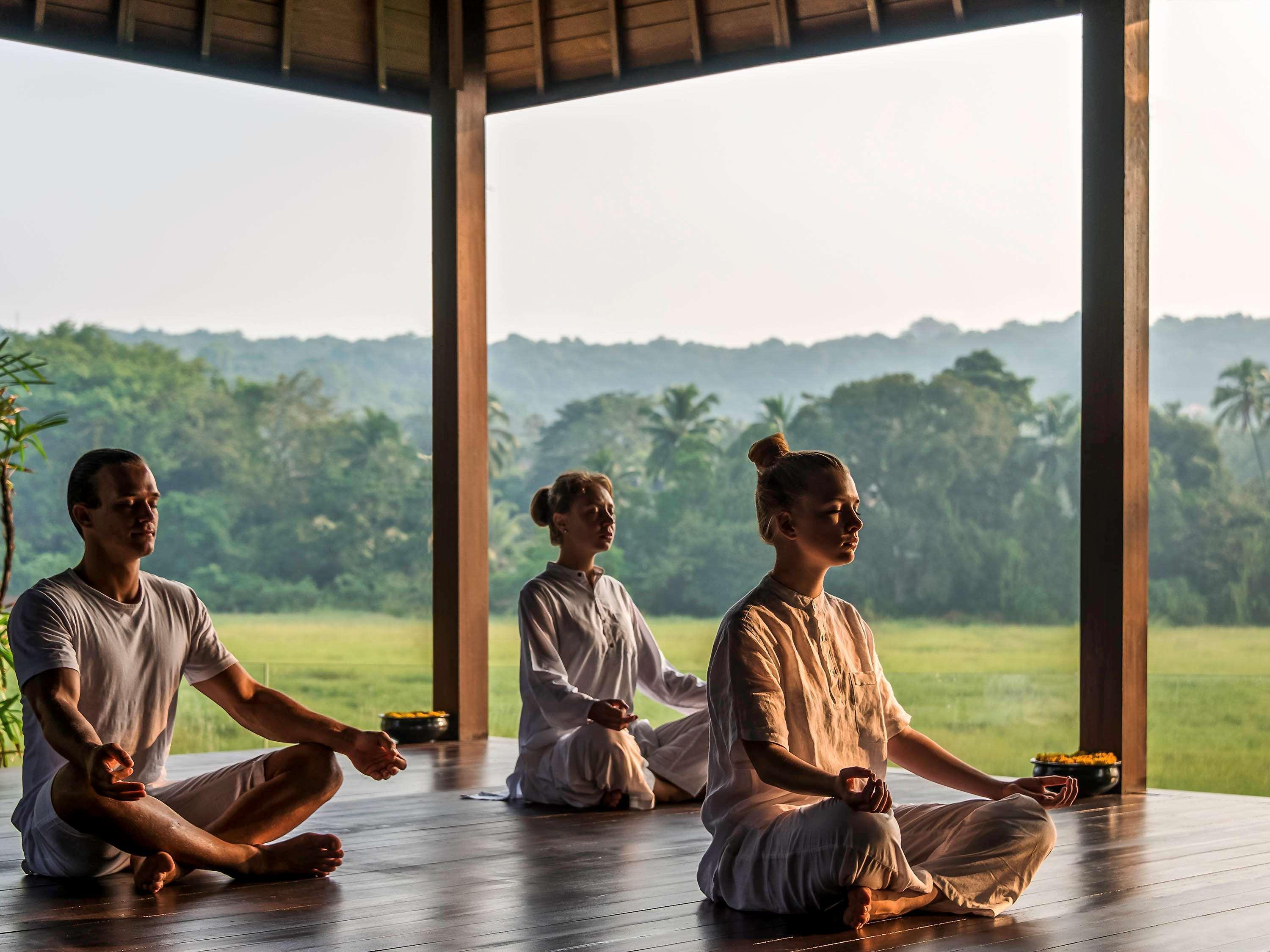 Novotel Goa Resort & Spa Candolim Eksteriør bilde Meditation at the Banyan Retreat